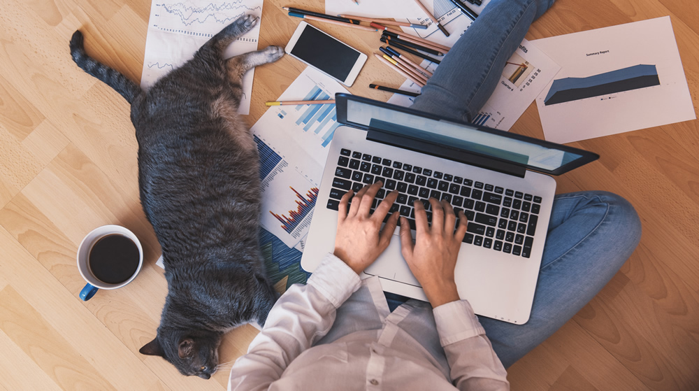 Eine Person arbeitet an CAD-Daten am Laptop auf dem Boden, daneben liegt eine Katze, außerdem Papiere, Stifte und eine Tasse Kaffee
