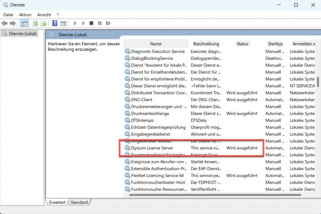 Lizenzserver - Dienst prüfen
